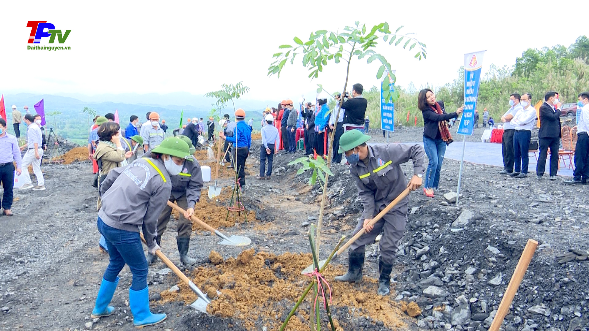 Công ty Cổ phần Gang thép Thái Nguyên phát động Tết trồng cây