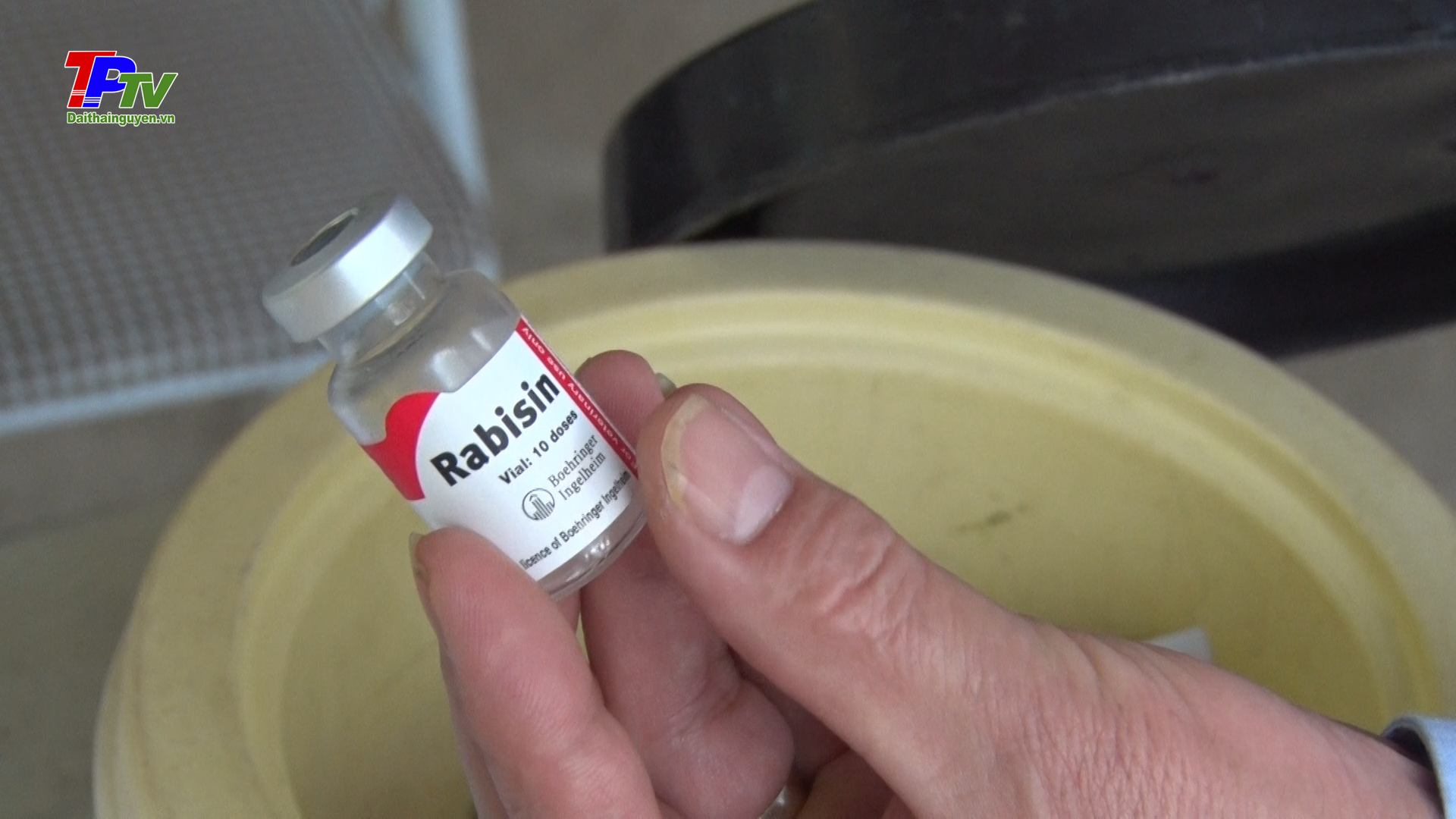 Kiểm tra công tác tiêm phòng bệnh dại cho chó,mèo năm 2022