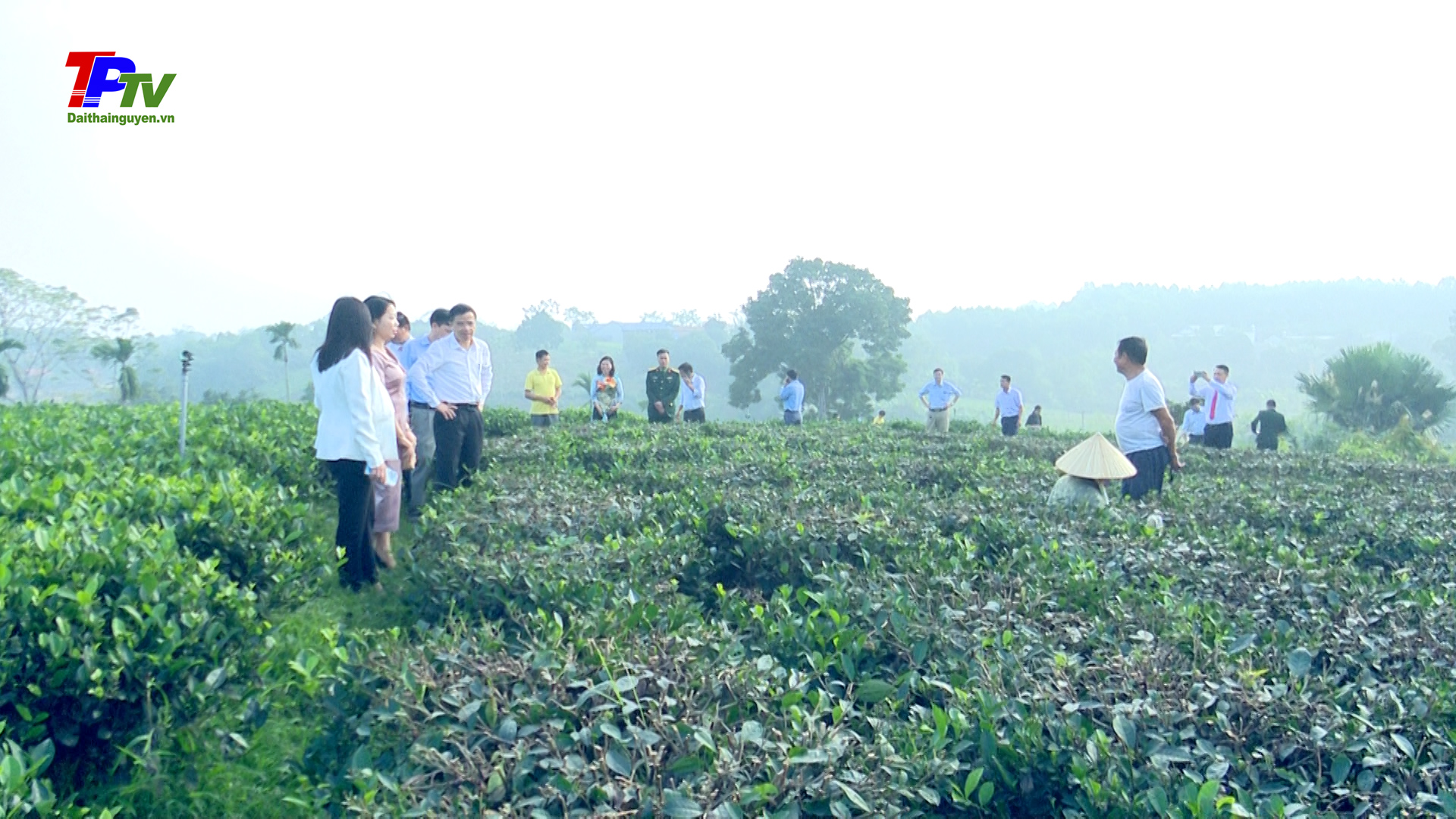 Thành phố Thái Nguyên: 3 xã được đánh giá hoàn thành tiêu chí xây dựng NTM nâng cao