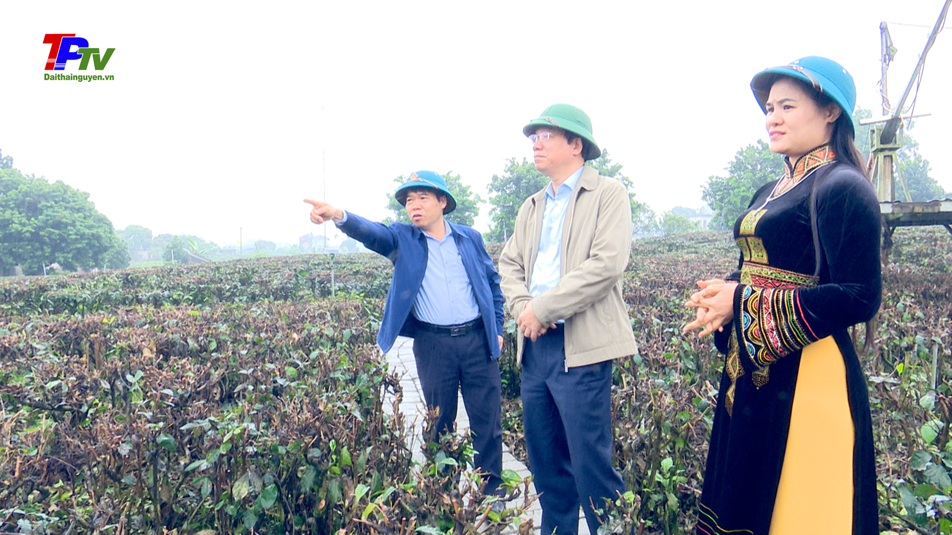 Đồng chí Bí thư Thành ủy Thái Nguyên thăm một số HTX, tổ hợp tác và cơ sở sản xuất chế biến chè ở xã Tân Cương.