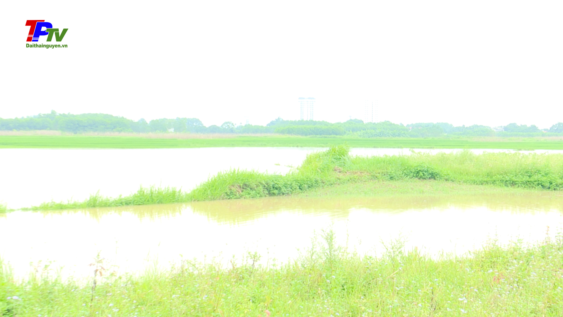 Lãnh đạo thành phố Thái Nguyên kiểm tra công tác phòng chống lụt, bão.