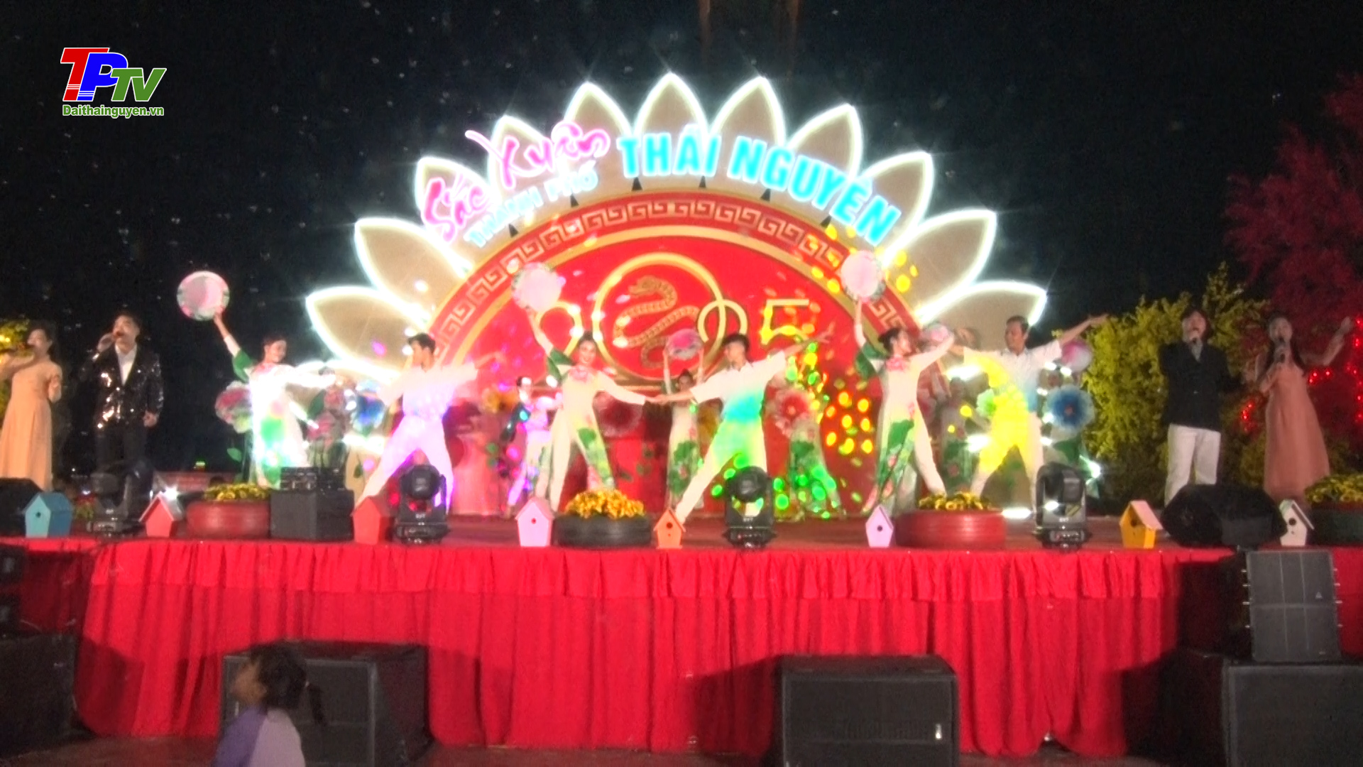 Rộn ràng không gian Tết Ất Tỵ 2025.