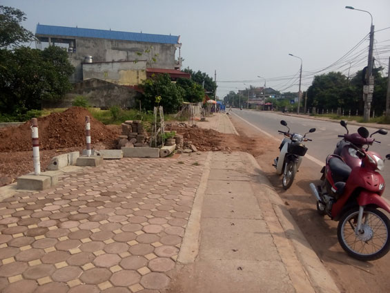Đẩy mạnh xử lý vi phạm hành lang đê