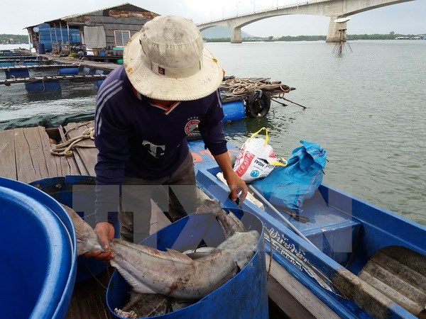 11 doanh nghiệp xả thải gây cá chết phải bồi thường hơn 13 tỷ đồng