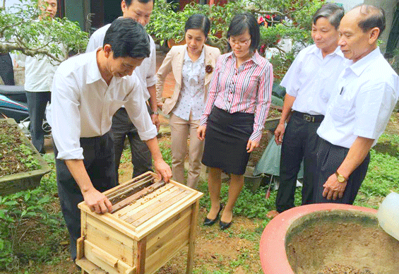 Giải cơn “khát vốn” cho các HTX, tổ hợp tác