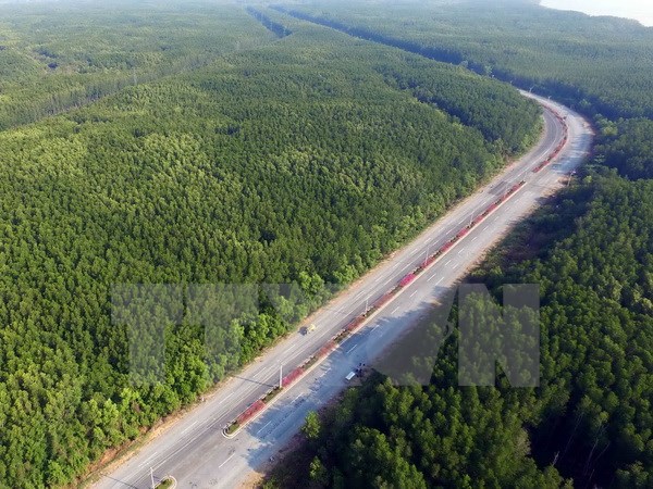 Đầu tư 50 tỷ đồng chăm sóc và bảo vệ rừng phòng hộ Cần Giờ