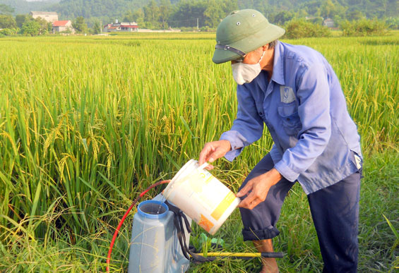 Lạm dụng thuốc bảo vệ thực vật trong sản xuất nông nghiệp