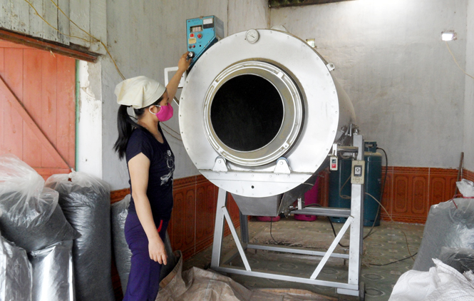 Liên kết chuỗi để phát triển ngành chè 