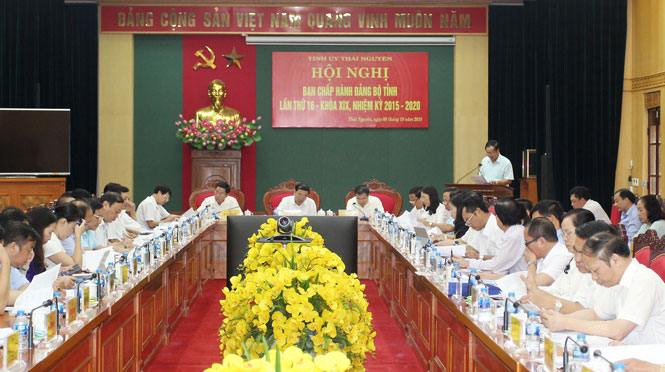 Hội nghị Ban chấp hành Đảng bộ Tỉnh lần thứ 16: Các đại biểu cho ý kiến nhiều nội dung quan trọng 