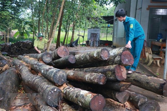 Yêu cầu công an khẩn trương điều tra vụ phá rừng tại Bình Phước