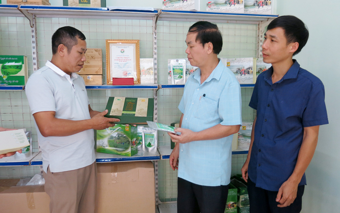 Trưởng ban dân vận đồng thời là chủ tịch MTTQ: Thuận lợi, hiệu quả hơn 