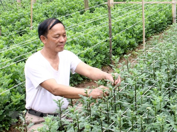 'Nâng hạn mức cho vay nông nghiệp nông thôn để hạn chế tín dụng đen'
