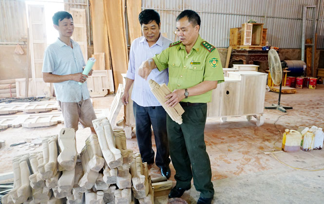 Số vụ vi phạm lâm luật giảm 26,4% 