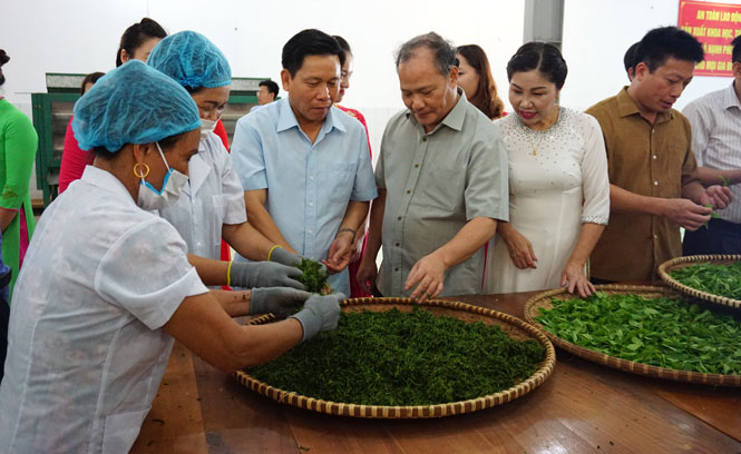 Giá trị sản xuất ngành nông, lâm nghiệp và thủy sản tăng 6,2%/năm 