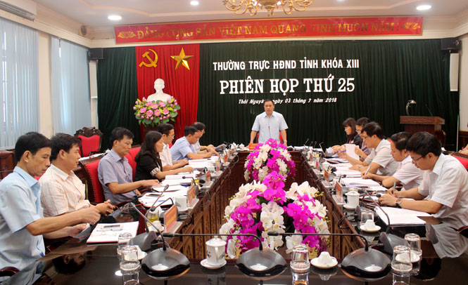Phiên họp thứ 25 của Thường trực HĐND tỉnh: Xem xét, cho ý kiến vào nhiều nội dung trình tại kỳ họp thứ 7 
