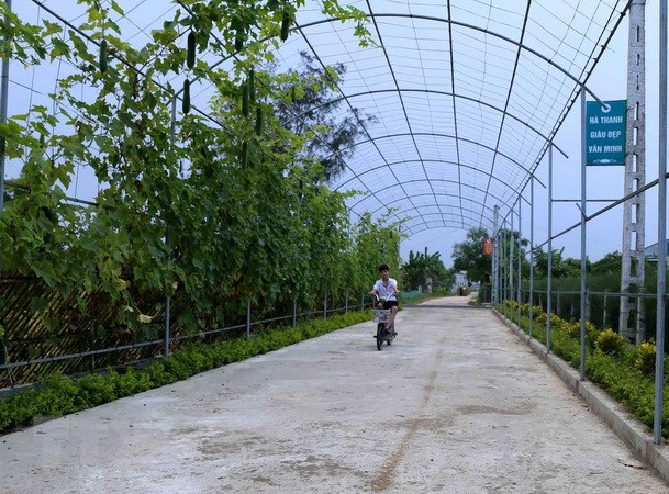 Tổng kết 10 năm thực hiện Nghị quyết Trung ương 7 khóa X về tam nông