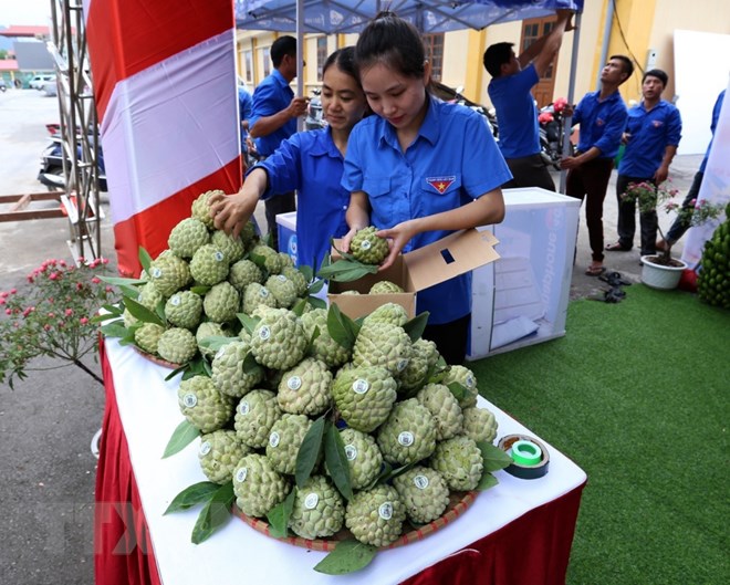 Hàng chục nghìn du khách đến với Ngày hội na Chi Lăng năm 2018
