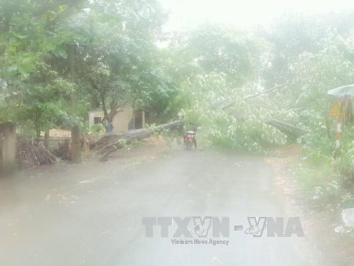 Áp thấp nhiệt đới gây gió giật trên biển, Bắc Bộ có mưa rào và dông