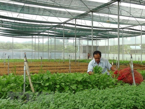 Phát huy cao độ bài học Cách mạng Tháng Tám vào công cuộc đổi mới