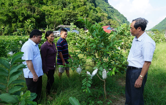 Người dân vùng cao thay đổi nếp nghĩ, cách làm 