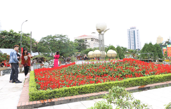 Để môi trường đô thị xanh - sạch - đẹp. 