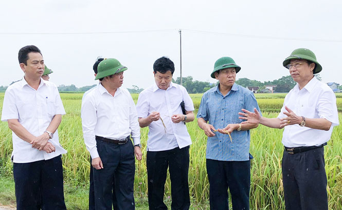 Lãnh đạo tỉnh kiểm tra công tác ứng phó với bão Mangkhut 