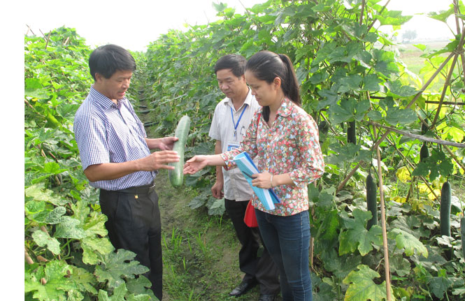 Khoa học - công nghệ phục vụ phát triển kinh tế - xã hội 