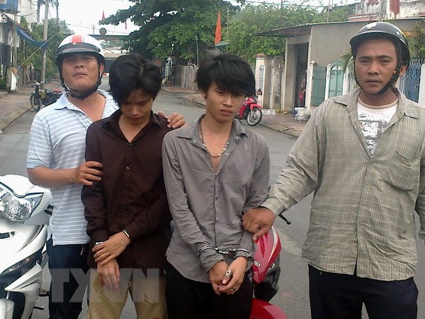 Các câu lạc bộ 