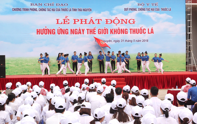 Nói không với thuốc lá 