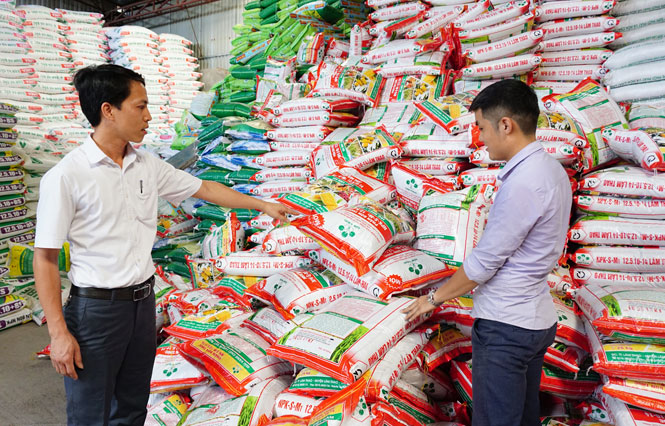 Để có một vụ mùa thắng lợi 