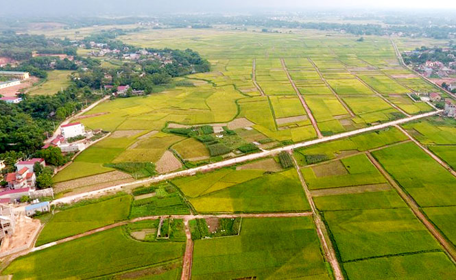 Đã sẵn sàng cho sự kiện lớn 