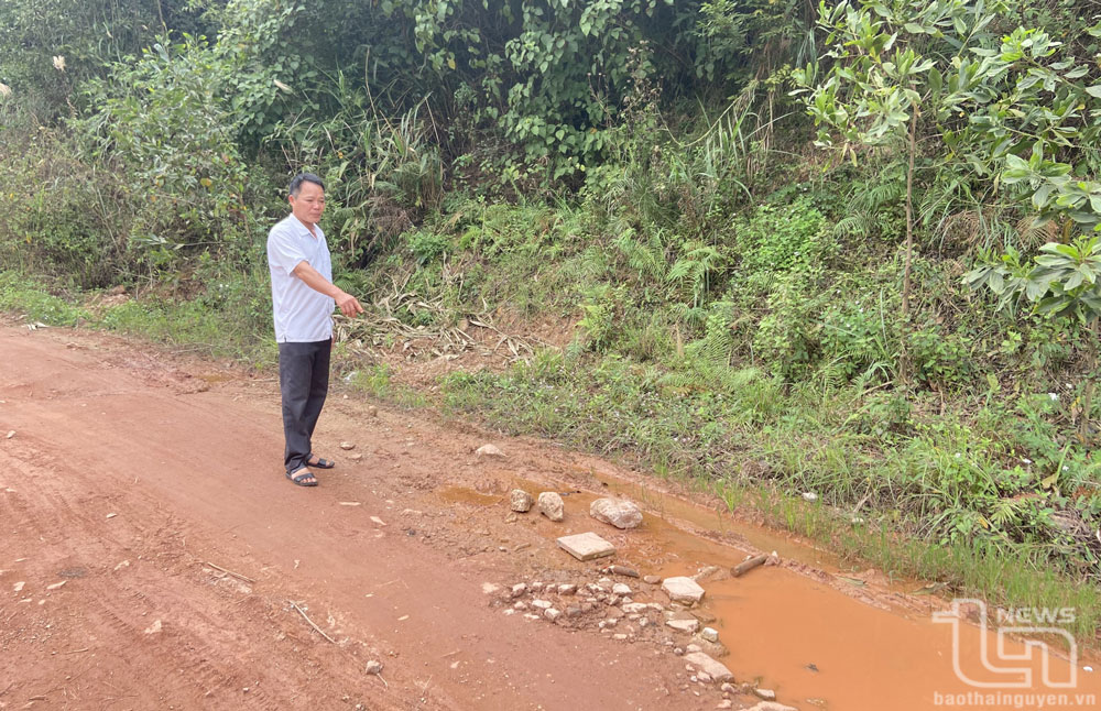 Hoàn trả đường: Doanh nghiệp sẵn sàng, chờ dân đồng thuận