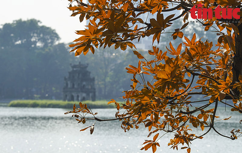 Thời tiết ngày 8/3: Bắc Bộ và Bắc Trung Bộ trời rét