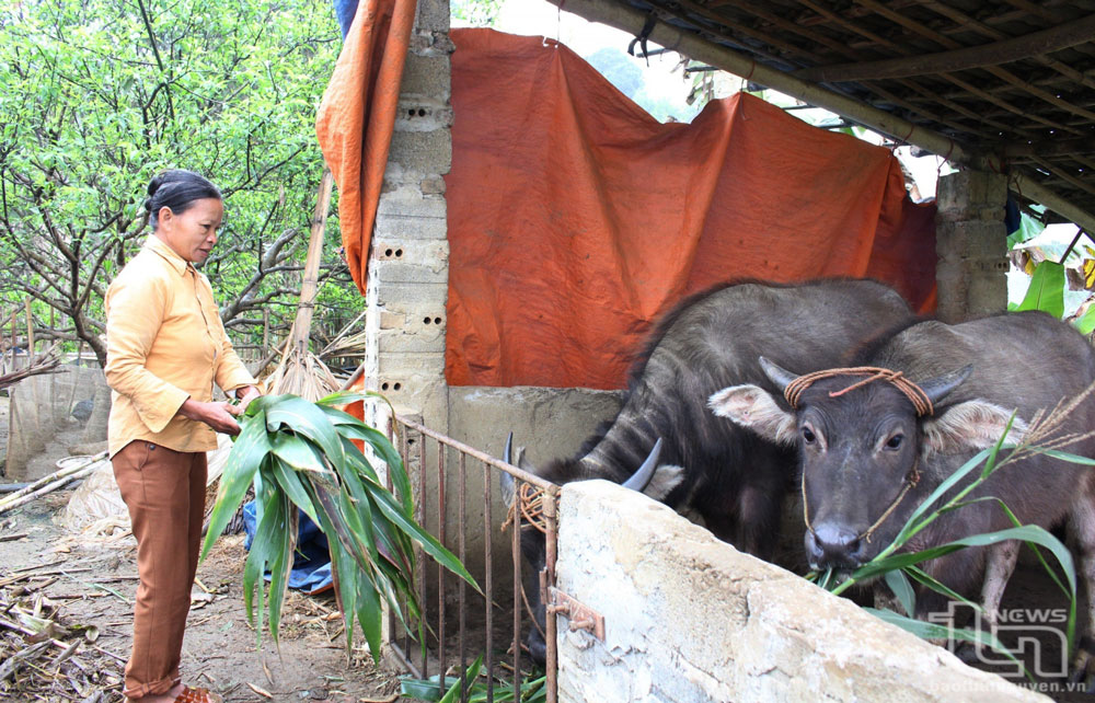 Giảm nghèo bền vững: Vẫn chuyện “con cá, cần câu” 
