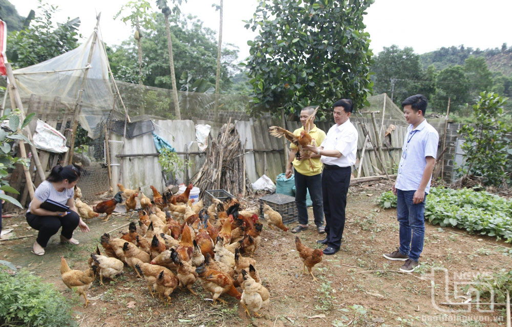 Triển khai tổng vệ sinh khử trùng, tiêu độc môi trường