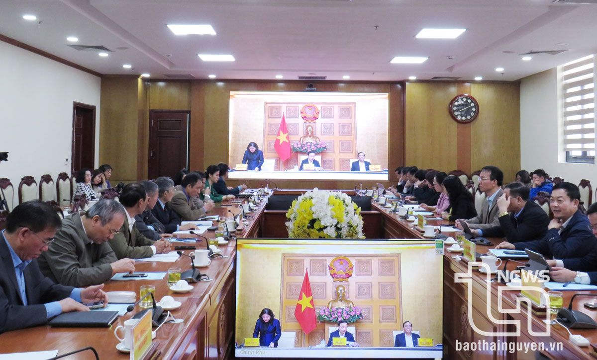 Đẩy mạnh các hoạt động chăm sóc, phát huy vai trò người cao tuổi