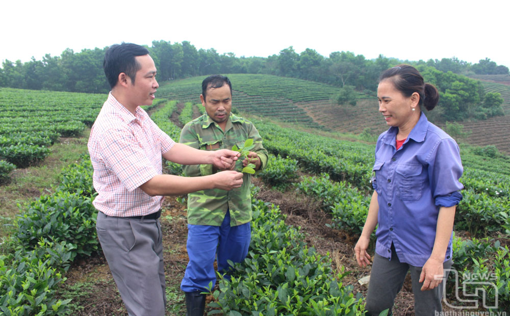 Đại Từ nâng cao chất lượng đội ngũ cán bộ, công chức