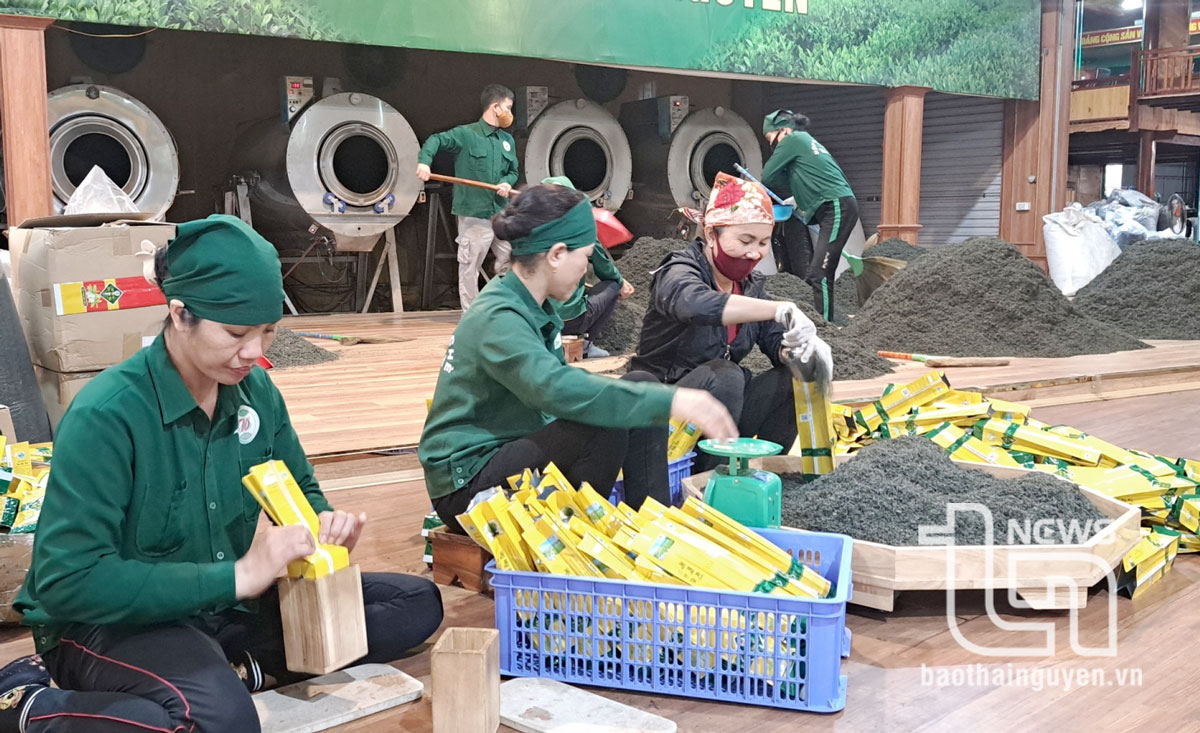 Xử lý nghiêm các hành vi xâm phạm quyền sở hữu trí tuệ nhãn hiệu tập thể “Chè Thái Nguyên”