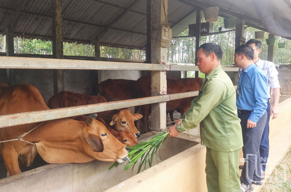 Sớm tháo gỡ khó khăn trong thực hiện chương trình mục tiêu quốc gia