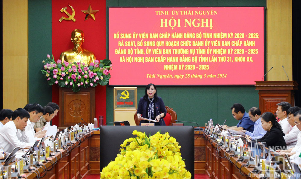 Tỉnh ủy Thái Nguyên thực hiện quy trình về công tác cán bộ