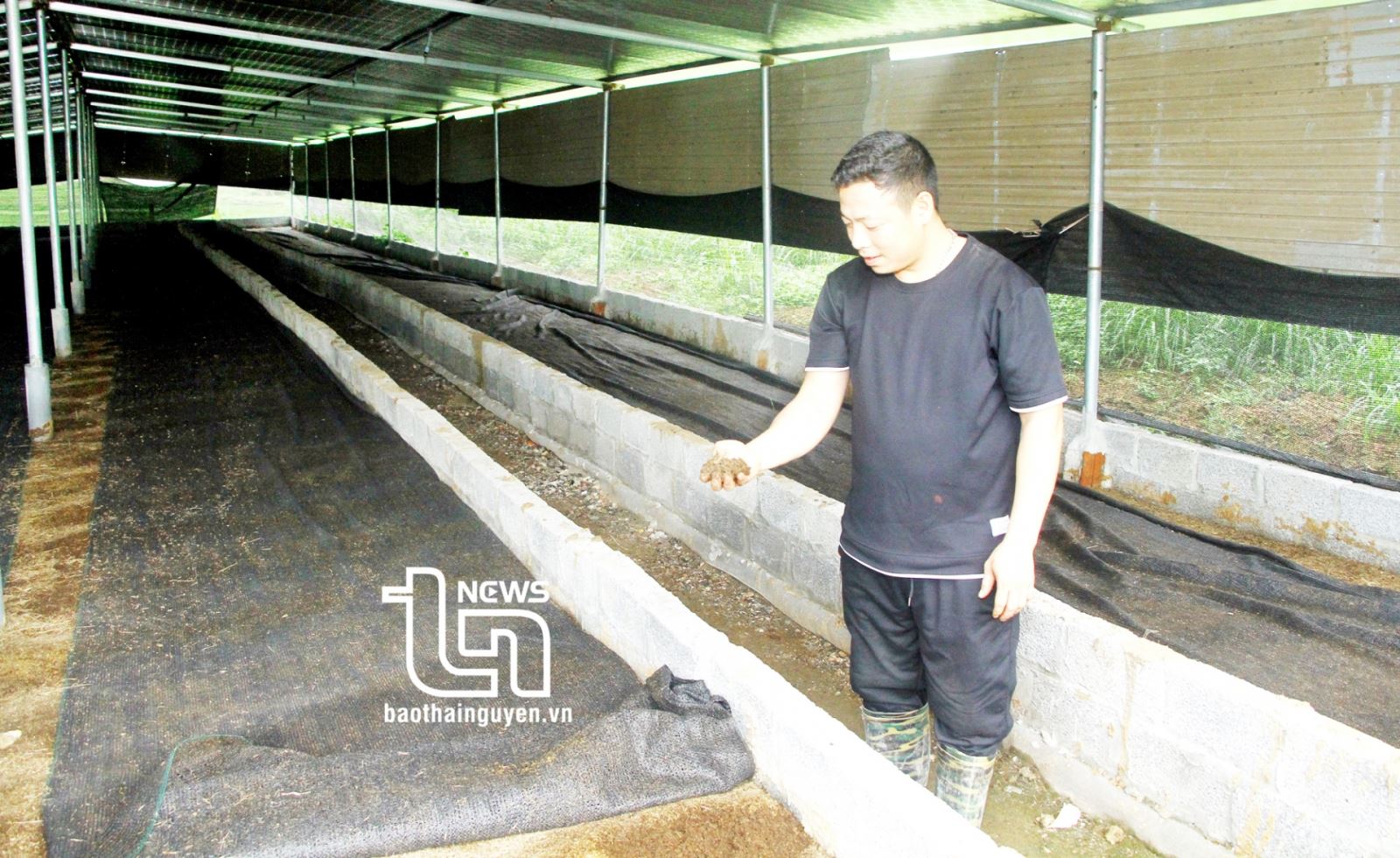 Đa lợi ích từ nông nghiệp tuần hoàn