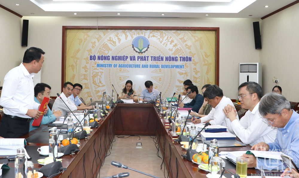 Khẩn trương hoàn thiện hồ sơ để công nhận Đại Từ đạt chuẩn nông thôn mới