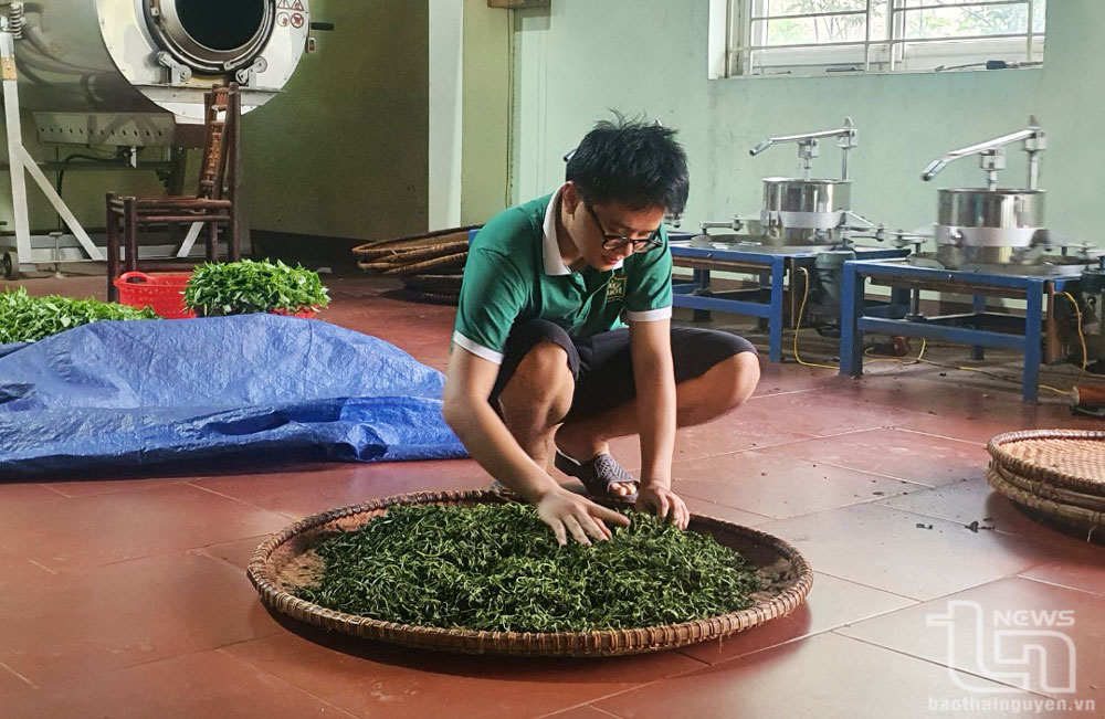 TP. Thái Nguyên: Phấn đấu 100% xã đạt chuẩn nông thôn mới nâng cao, kiểu mẫu 