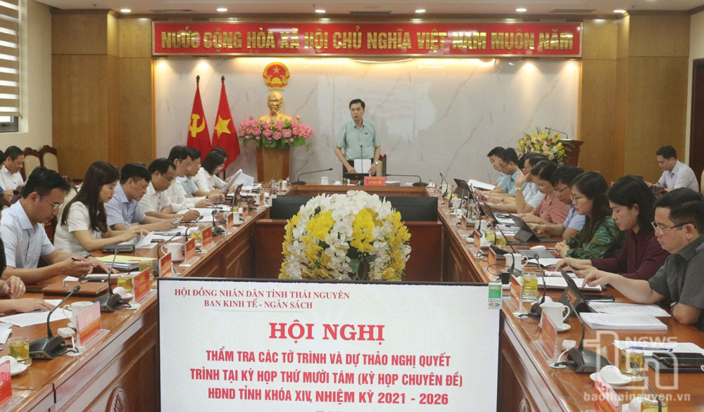 Thẩm tra 9 nội dung trình kỳ họp chuyên đề HĐND tỉnh