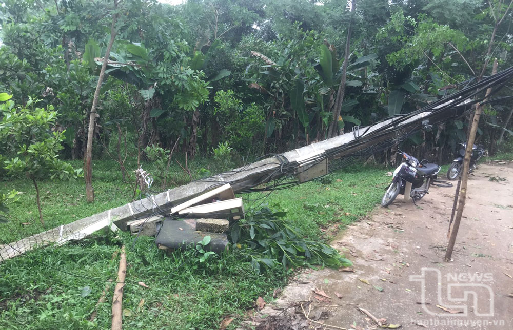 Nhanh chóng khắc phục sự cố gây mất điện diện rộng tại Phú Bình