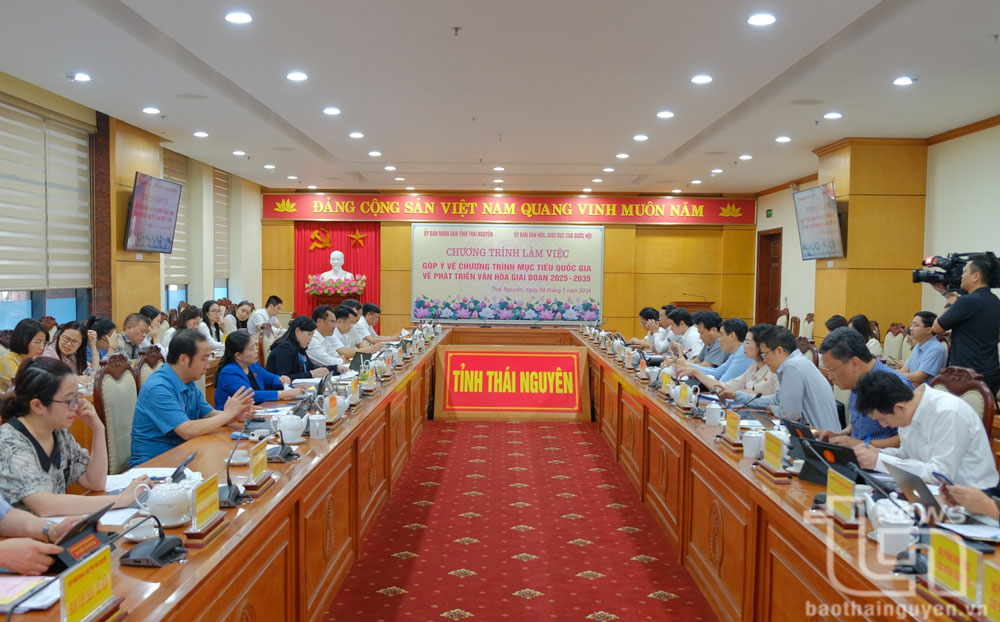 Góp ý vào Chương trình mục tiêu quốc gia về phát triển văn hóa giai đoạn 2025-2035