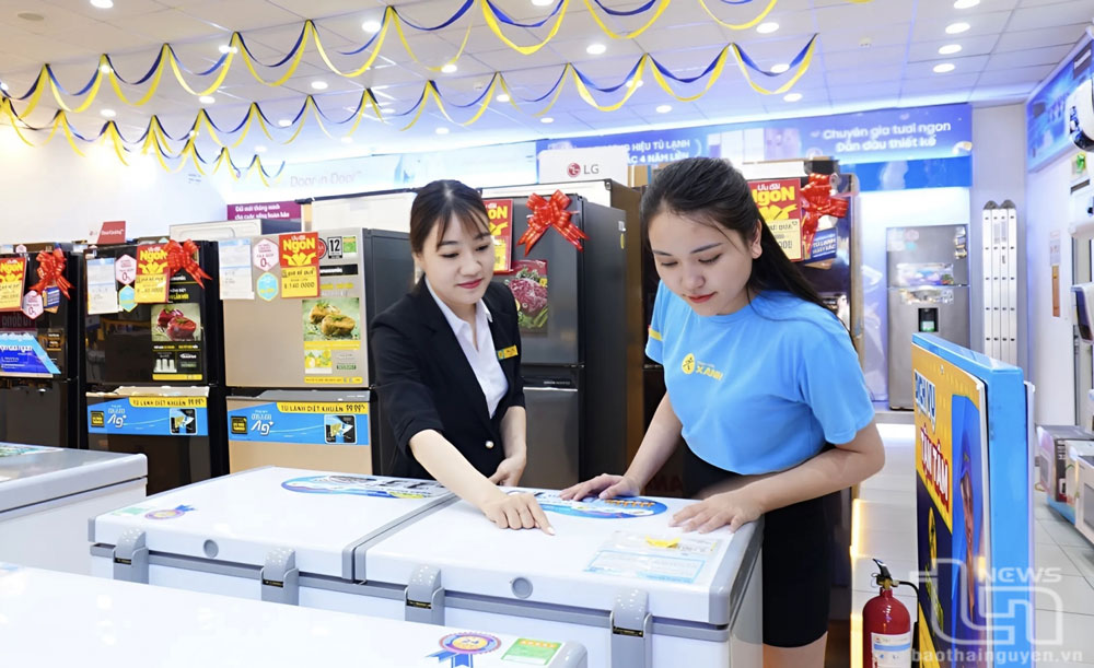 Thị trường điện lạnh 