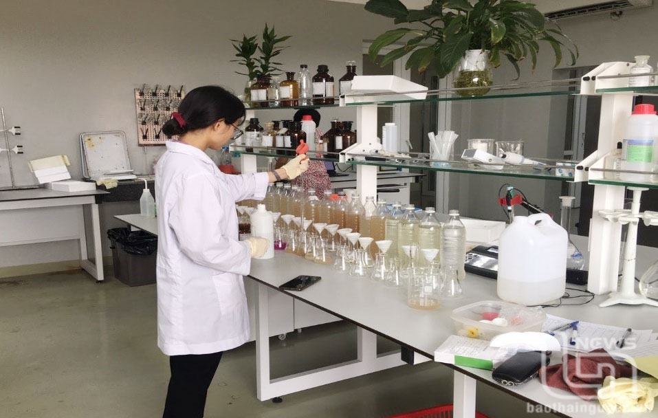 Giám sát an toàn thực phẩm, kịp thời chấn chỉnh các sai phạm