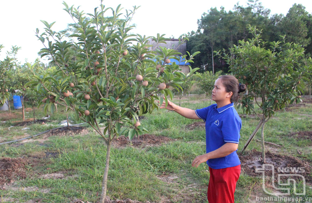 Hiệu quả từ nguồn vốn hỗ trợ tạo việc làm