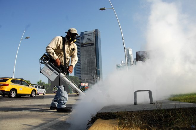 Brazil phát hiện virus Zika trong muỗi thông thường Culex